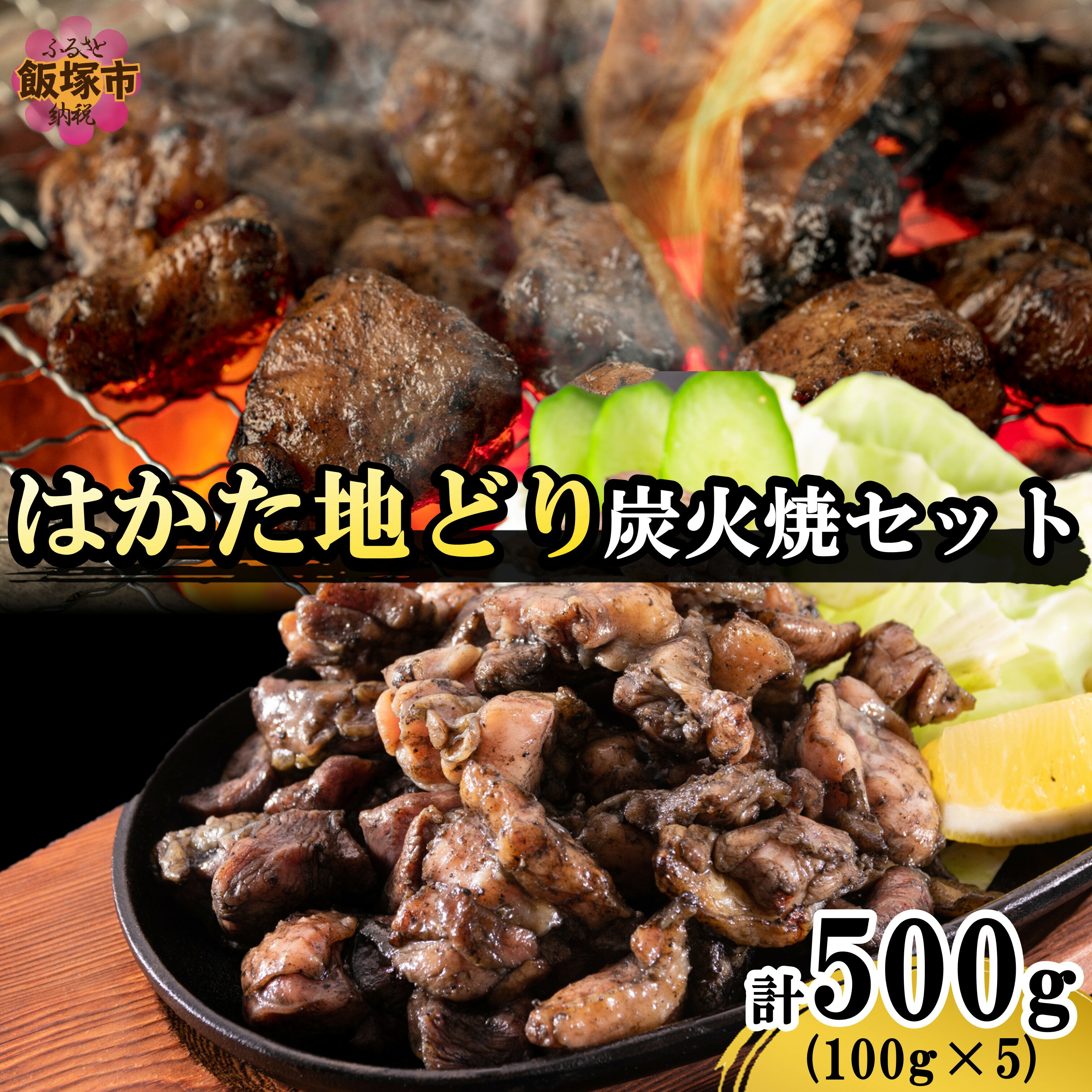 はかた地どり炭火焼きセット500g