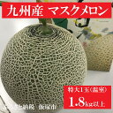 【ふるさと納税】【A107】九州産マスクメロン(温室・特大サ...