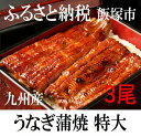【ふるさと納税】魚市場厳選 うなぎ蒲焼 特大サイズ3尾(九州産 )※着日はご指定いただけません