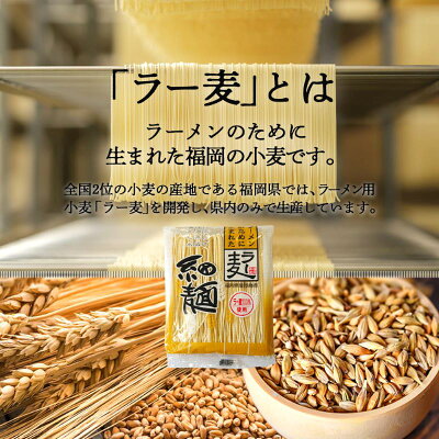 福岡県飯塚市 【ふるさと納税】\1000円ポッキリ/博多のラーメン・うどん セット 各1食 メール便 らーめん 博多ラーメン とんこつ 豚骨ラーメン 福岡県 飯塚市 お土産 ギフト【Z1-017】 画像2
