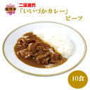 【ふるさと納税】工場直売「いいづかカレー」ビーフ10食セット