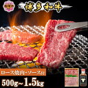 【ふるさと納税】\内容量が選べる/プロトン冷凍 博多和牛ロース焼肉 500g 1kg 1.5kg 【特製オリジナルお肉のソース付き】