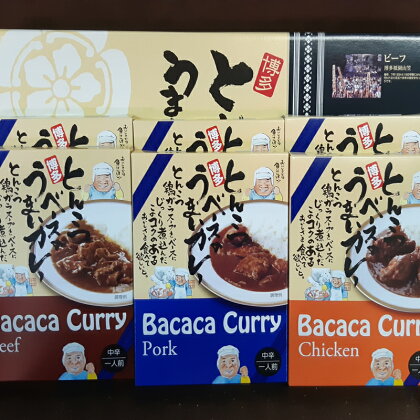 博多とんこつ「Bacacaカレー」6食×2セット【C-124】