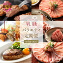 【ふるさと納税】乳豚バラエティ定期便【隔月・年6回定期便】 豚 豚肉 ステーキ ロース 餃子 メンチカツ ハンバーグ しゃぶしゃぶ 鍋 バラ つみれ 切り落とし ミンチ モモ 定期便 隔月 6回 6 福岡県 飯塚市 送料無料【I-008】