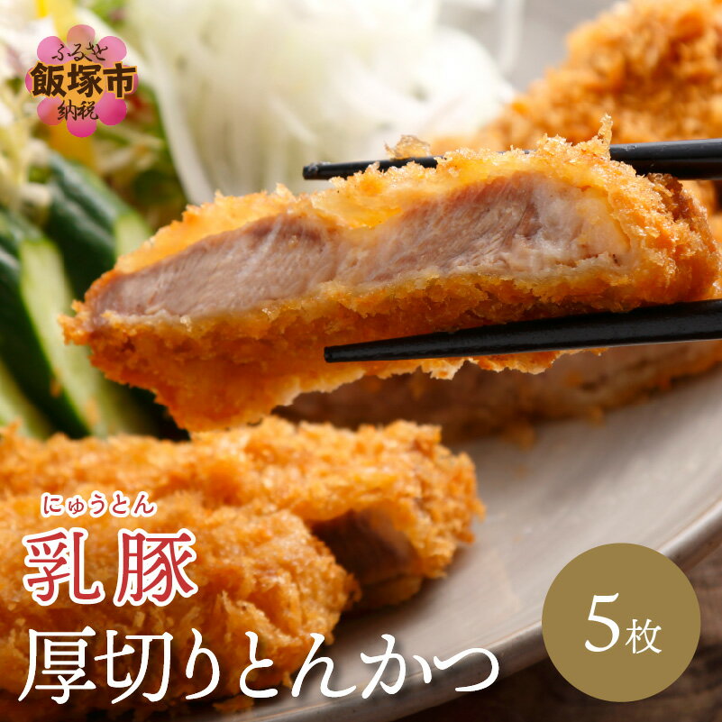 乳豚 厚切りとんかつ5枚 豚カツ 豚肉 豚 惣菜 送料無料 ふるさと納税 とんかつ 