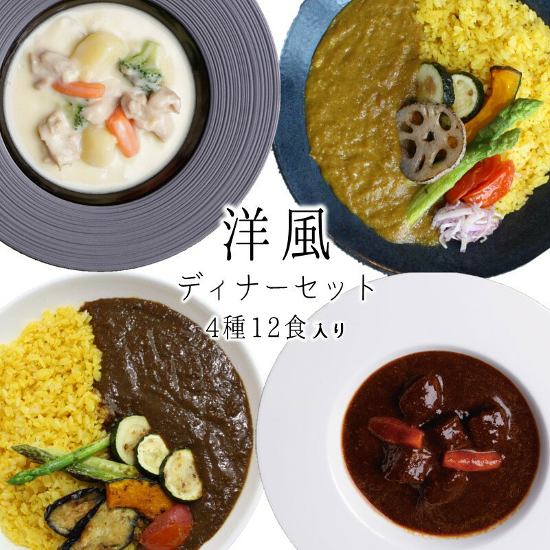【ふるさと納税】洋風ディナーセット 薬膳カレー ビーフシチュー クリームシチュー 福岡県 飯塚市 福岡 飯塚 【B3-076】