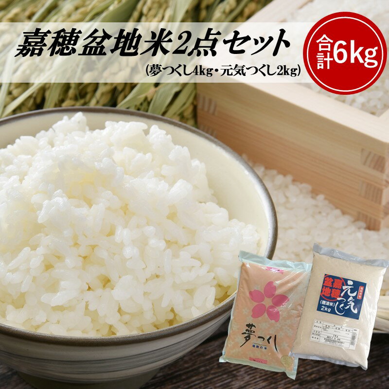 【ふるさと納税】★レビューキャンペーン実施中★嘉穂盆地米2点セット(夢つくし4kg・元気つくし2kg)【B4-033】【1204レビューCP】のサムネイル