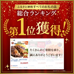 【ふるさと納税】★レビューキャンペーン実施中★【累計2600万個突破！】鉄板焼ハンバーグ デミソース 20個 温めるだけ 福岡 飯塚 冷凍 小分け 大容量 ハンバーグ 肉 牛 簡単調理 デミグラスソース 特製 湯煎 人気 子供 【A5-248】【20240304レビューCP】