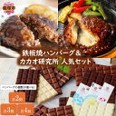 【ふるさと納税】\ハンバーグの個数が選べる/鉄板焼ハンバーグ(2種)&カカオ研究所 人気セット 選べる 内容量 各2個 各3個 各4個