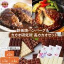 【ふるさと納税】\ハンバーグの個数が選べる/鉄板焼ハンバーグ(2種)&カカオ研究所 高カカオセット 選べる 内容量 各2個 各3個 各4個