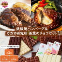 【ふるさと納税】\ハンバーグの個数が選べる/鉄板焼ハンバーグ(2種)&カカオ研究所 茶葉のチョコセット 選べる 内容量 各2個 各3個 各4個