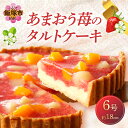 6位! 口コミ数「14件」評価「4.64」あまおう苺のタルトケーキ 6号(約18cm)4～6人分 洋菓子 ケーキ タルト フルーツタルト 苺 あまおう 冷凍 【A4-032】【120･･･ 