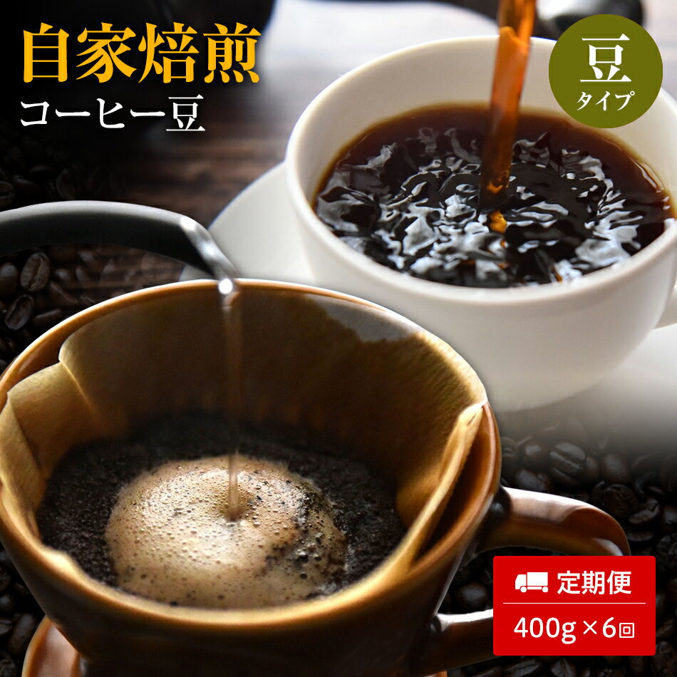 【ふるさと納税】【定期便6ヵ月】自家焙煎コーヒー豆 400g×6回 | コーヒー豆 珈琲豆 コーヒー 珈琲 こーひー 焙煎 自家焙煎 定期便 福岡土産 福岡 九州 お土産 お取り寄せ ご当地 取り寄せ 特産品 飲み物 飲料 ドリンク 福岡県 田川市 CQ12-NT