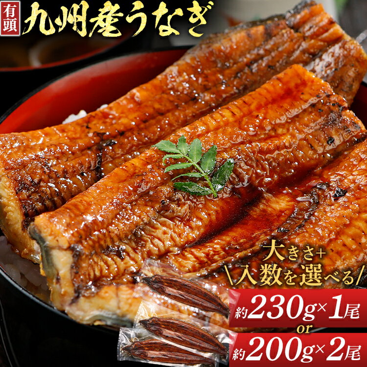 ڤդ뤵ǼǡۤʤƤ ٤ 2200g2 1230g  ʥ 縩  彣  ͭƬ 󤻥  ʡ ڻ 彣 ʡڻ   ʡ 8000 10000