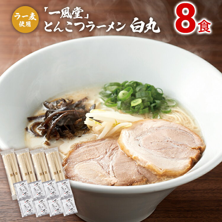 ラー麦使用「一風堂」とんこつラーメン 白丸(8食) 豚骨ラーメン ストレート麺 お取り寄せグルメ お取り寄せ 福岡 お土産 九州 ご当地グルメ 福岡土産 取り寄せ グルメ 福岡県 食品