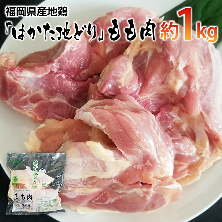 【ふるさと納税】福岡県産地鶏「はかた地どり」もも肉(約1kg