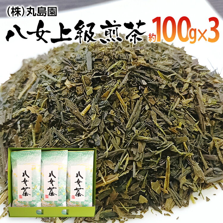 【ふるさと納税】八女上級煎茶(約100g×3)　 お取り寄せグルメ　お取り寄せ 福岡 お土産 九州 ご当地グルメ 福岡土産 取り寄せ グルメ 福岡県 食品