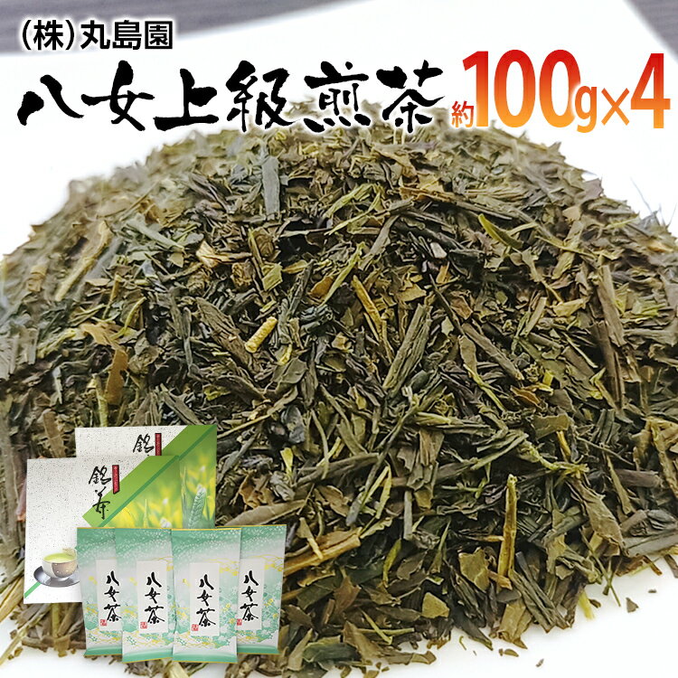 【ふるさと納税】八女上級煎茶(約100g×4)　 お取り寄せグルメ　お取り寄せ 福岡 お土産 九州 ご当地グルメ 福岡土産 取り寄せ グルメ 福岡県 食品