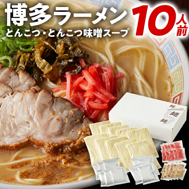 3位! 口コミ数「0件」評価「0」博多ラーメン 10人前 豚骨ラーメン とんこつラーメン 豚骨 とんこつ味噌 半生麺 極細ストレート麺 紅生姜 ごま ギフト 福岡 お土産 九･･･ 