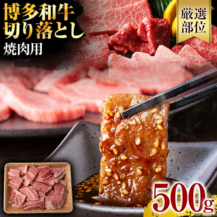 【ふるさと納税】訳あり！博多和牛焼肉切り落とし　500g お肉 牛肉 ビーフ 黒毛和牛 美味しい 旨い 贈答 贈り物 プレゼント 化粧箱 お取り寄せグルメ お取り寄せ 福岡 お土産 九州 福岡土産 取り寄せ グルメ 福岡県