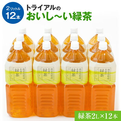 楽天ふるさと納税　【ふるさと納税】お茶 トライアルのおいし～い緑茶（2L×12本）茶 飲料 ソフトドリンク 常温 備蓄 保存 福岡 お土産 九州 福岡県 食品