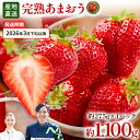 【ふるさと納税】あまおう 約1100g(約275g×4パック) 【先行受付/2026年3月下旬以降順次発送予定】いちご 苺 福岡高級 フルーツ お取り寄せ ご当地グルメ 福岡土産 取り寄せ グルメ 福岡県 食品 社会福祉法人 猪位金福祉会
