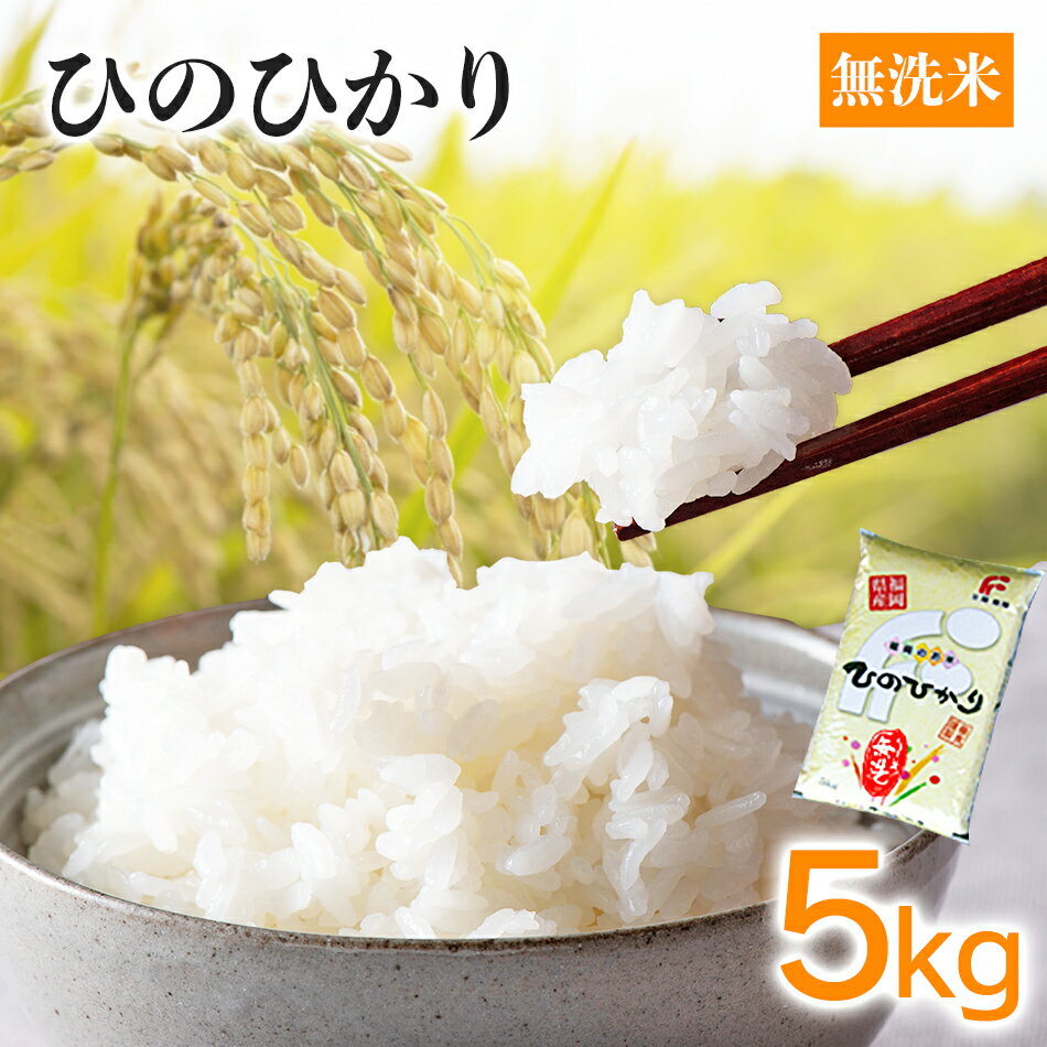 【ふるさと納税】福岡県産 ヒノヒカリ 無洗米 5kg ×1 