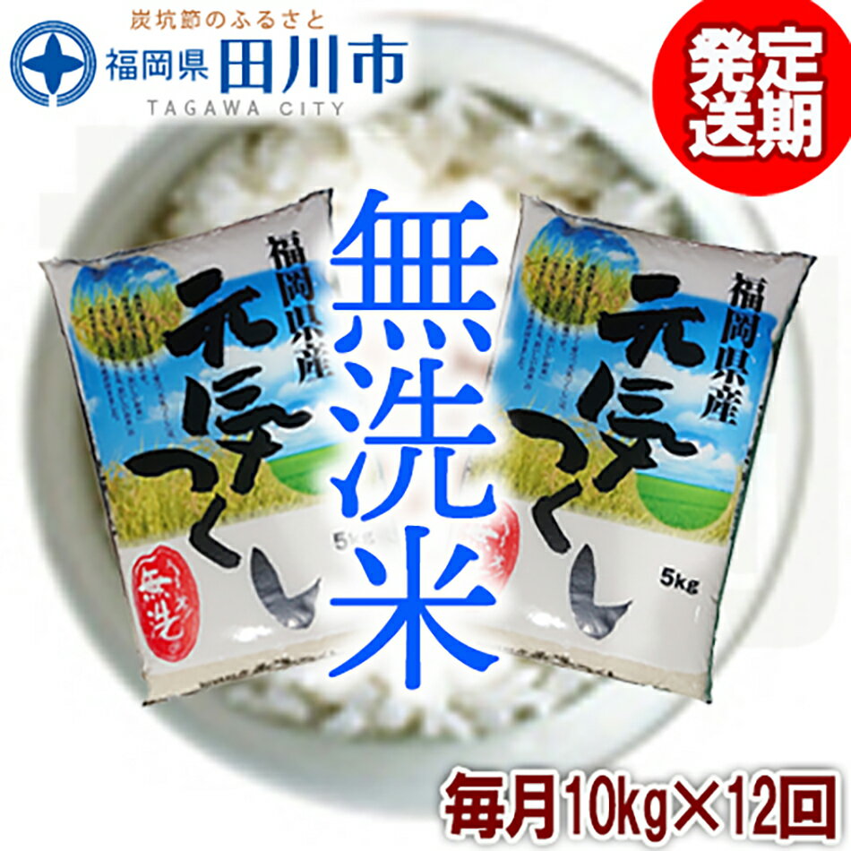 定期便福岡県産元気つくし 無洗米 10kg×12回 お取り寄せグルメ お取り寄せ 福岡 お土産 九州 ご当地グルメ 福岡土産 取り寄せ グルメ 福岡県 食品