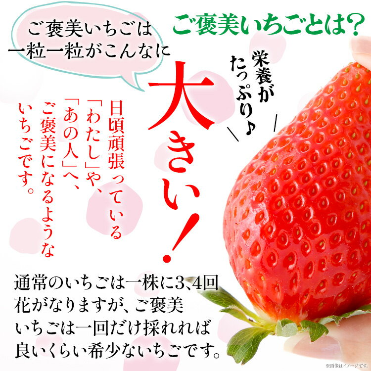 【ふるさと納税】あまおう『ごほうびいちご』田川産あまおう 450g ＜2024年1月以降順次発送予定＞ あまおう いちご 苺 大粒 フルーツ 果物 お取り寄せ ご当地グルメ 福岡土産 取り寄せ グルメ 福岡県 食品