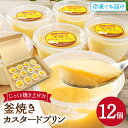 【ふるさと納税】【レビューキャンペーン】プリン じっくり焼き上げた窯焼きカスタードプリン 12個 プリン スイーツ デザート 窯焼きプリン カスタードプリン 冷...