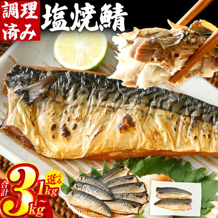 【ふるさと納税】さば 鯖 塩サバ 塩焼鯖 約1kg〜3kg 選べる容量 大ぶり 魚 海産物 魚介 海鮮 惣菜 和食 レンチン 調理済 調理済み 温めるだけ 脂のり 晩御飯 おかず ジューシー 冷凍 お弁当 レンジ調理 サバ 自社製造のサムネイル