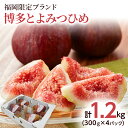 【ふるさと納税】いちじく 博多とよみつひめ 300g×4パック いちじく イチジク 無花果 計1.2kg 福岡限定 フルーツ 果物 とよみつひめ 九州 福岡 ジ...