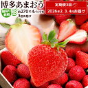 【ふるさと納税】【全3回定期便】農家直送 朝採り新鮮いちご【博多あまおう】約270g×4パック 福岡県産 苺 イチゴ 朝採れ 冷蔵 スイーツ ジュース ギフト ...