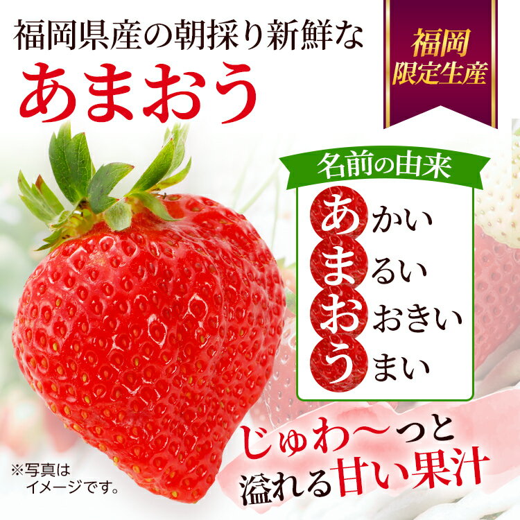 【ふるさと納税】【全3回定期便】農家直送 朝採り新鮮いちご【博多あまおう】約270g×4パック 福岡県産 苺 イチゴ 朝採れ 冷蔵 スイーツ ジュース ギフト プレゼント お取り寄せ 福岡 お土産 九州 福岡土産 取り寄せ グルメ 福岡県 ※北海道・沖縄・離島は配送不可