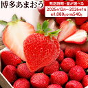 【ふるさと納税】【先行受付】農家直送 朝採り新鮮いちご【博多あまおう】<2025年12月〜1月順次出荷予定> 量を選べる 1080g 540g 福岡県産 苺 イ...