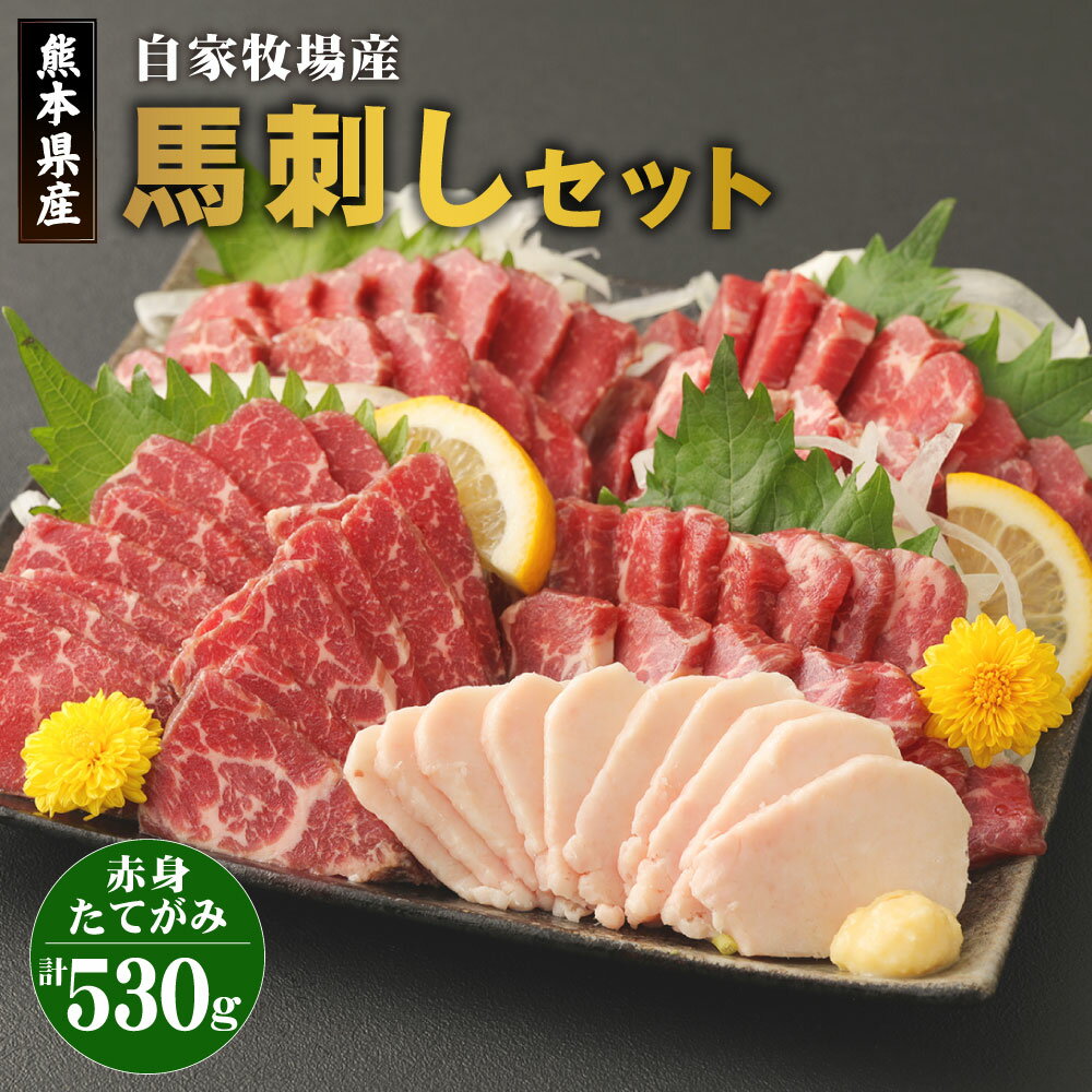 【ふるさと納税】自家牧場産 馬刺しセット 赤身 たてがみ 2種 計530g 専用醤油付き セット 馬刺し 赤身2ブロック たてがみ50g 赤身肉 肉 馬 馬肉 醤油 九州産 国産 冷凍 送料無料