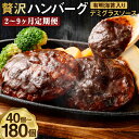 【ふるさと納税】【選べる定期便】贅沢 デミグラスソース 有明海苔入り ハンバーグ 2ヶ月/3ヶ月/4ヶ月/5ヶ月/6ヶ月/9ヶ月 1回につき150g×20個お届...