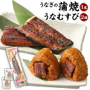 【ふるさと納税】うなぎの蒲焼 1尾 うなむすび 105g×2個 蒲焼 蒲焼き うなぎ 鰻 ウナギ おにぎり おむすび ご飯 冷凍 柳川市 九州産 国産 送料無料