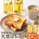 【ふるさと納税】沖養蜂場の100%国産天然はちみつ 合計600g 300g×2本 2種類×各1本 沖養蜂場 はちみつ 蜂蜜 みかん ミカン もちのき もちの木 ...