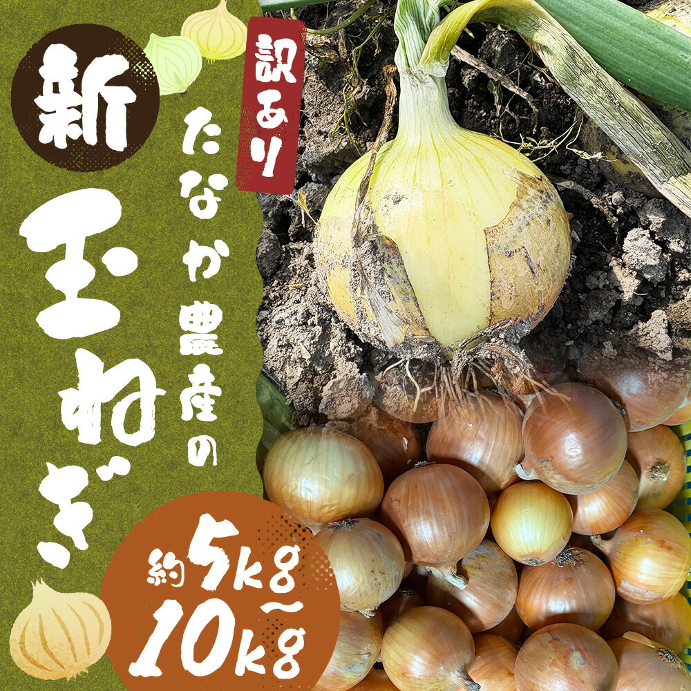 【ふるさと納税】＜選べる内容量＞【先行予約】【訳あり】たなか農産の柳川産新玉ねぎ 約5kg・約10kg 玉葱 タマネギ たまねぎ 野菜 福岡県産 国産 福岡県 柳川市 送料無料 【2026年4月上旬～6月下旬迄順次発送予定】