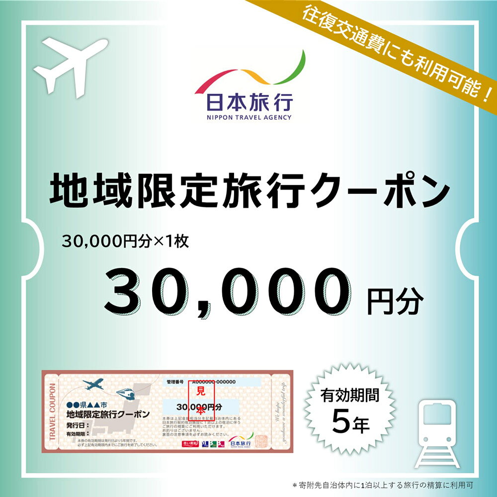 【ふるさと納税】福岡県柳川市 日本旅行 地域限定旅行クーポン（30,000円分/60,000円分/90,000円分/150,000円分/300,000円分）旅行クーポン 旅行 観光 夏休み 冬休み 家族旅行 宿泊券 ホテル クーポン トラベルクーポン 宿泊 家族 家族旅行 柳川市旅 柳川市 送料無料