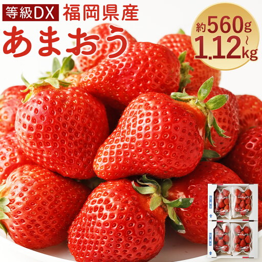 【ふるさと納税】あまおう 等級DX 約560g(2パック)/約1.12kg(4パック) 選べる内容量 1パック約280g 先行受付 事前予約 いちご 苺 フルーツ 果物 福岡県産 冷蔵 送料無料【2026年2月上旬~3月下旬に順次発送予定】 【ふるさと納税】あまおう 等級DX 約560g(2パック)/約1.12kg(4パック) 選べる内容量 1パック約280g 先行受付 事前予約 いちご 苺 フルーツ 果物 福岡県産 冷蔵 送料無料【2026年2月上旬~3月下旬に順次発送予定】