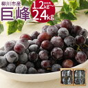 【ふるさと納税】事前受付 巨峰 約1.2kg(4パック)/約2.4kg(8パック) 選べる内容量 1パック約300g 種あり ぶどう 葡萄 フルーツ 果物 先行...