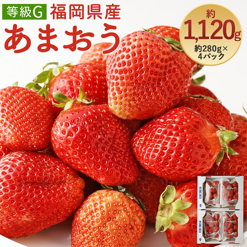 あまおう 等級G 約280g×4パック 合計約1,120g 先行受付 事前予約 いちご 苺 フルーツ 果物 福岡県産 冷蔵 送料無料【2025年2月上旬～3月下旬に順次発送予定】