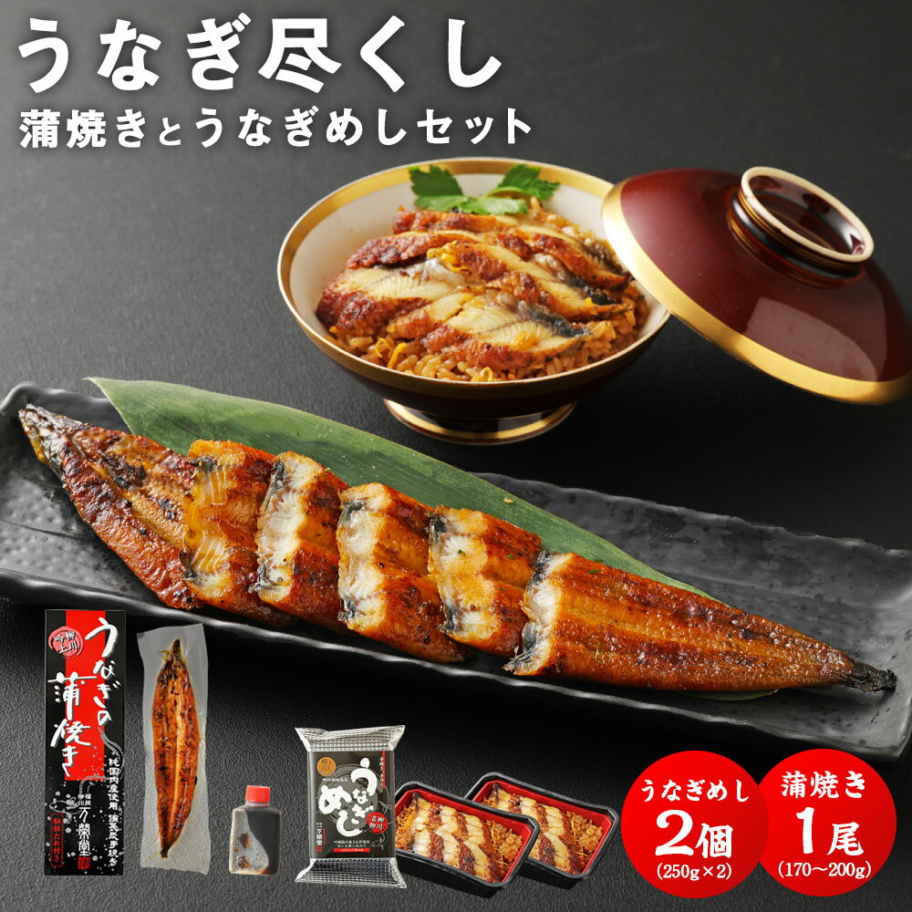 【ふるさと納税】うなぎ尽くし 蒲焼きとうなぎめし 2点 セット 1尾 170〜200g うなぎめし 2個 鰻 国産 うなぎ ウナギ 蒲焼き うな丼 うな重 国内産 国産 土用丑の日 冷凍 九州 ギフト 贈り物 送料無料