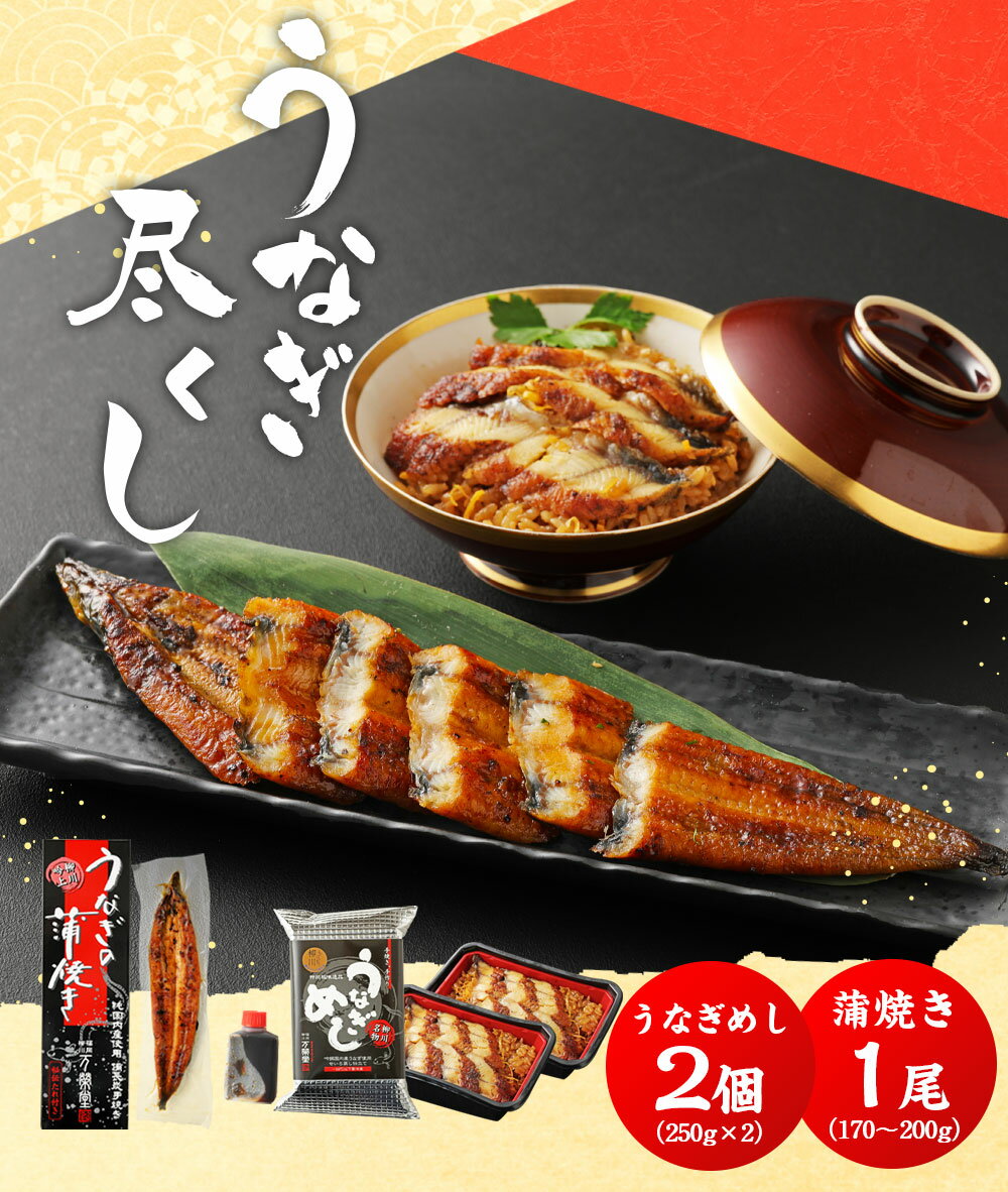 【ふるさと納税】うなぎ尽くし 蒲焼きとうなぎめし 2点 セット 1尾 170〜200g うなぎめし 2個 鰻 国産 うなぎ ウナギ 蒲焼き うな丼 うな重 国内産 国産 土用丑の日 冷凍 九州 ギフト 贈り物 送料無料
