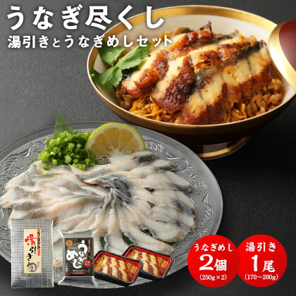 うなぎ尽くし 湯引き 刺身 とうなぎめし 2点 セット 1尾 170〜200g うなぎめし 250g×2個 鰻 うなぎ ウナギ 蒲焼き うな丼 国内産 国産 土用丑の日 冷凍 九州 送料無料