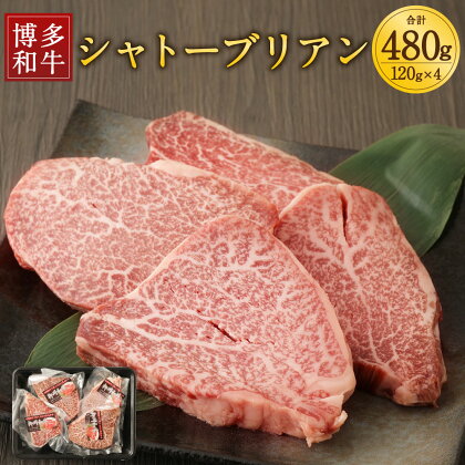 柳川産 博多和牛 シャトーブリアン 計480g 120g×4パック 牛肉 お肉 和牛 ステーキ 福岡県産 九州産 国産 ギフト 贈り物 送料無料