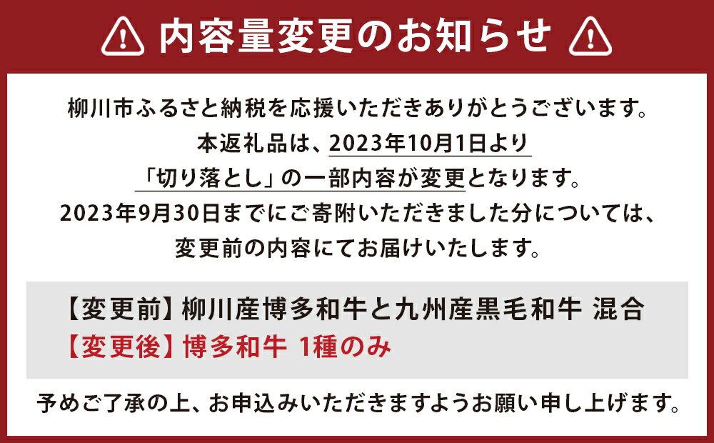 【ふるさと納税】訳あり 博多和牛 切り落とし 300g×4パック 合計1.2kg 博多和牛の黄金カレー 1食付き セット 博多和牛 牛肉 お肉 カレー 福岡県産 九州産 国産 冷凍 送料無料