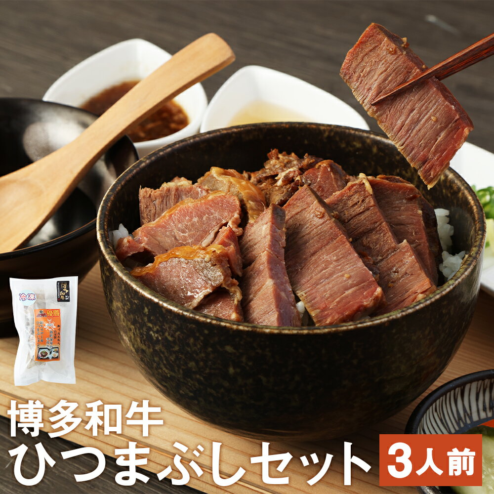 博多和牛ひつまぶしセット 3人前 ソース・出汁付き ステーキ丼 ひつまぶし 牛肉 和牛 福岡県産 九州産 惣菜 冷凍 送料無料